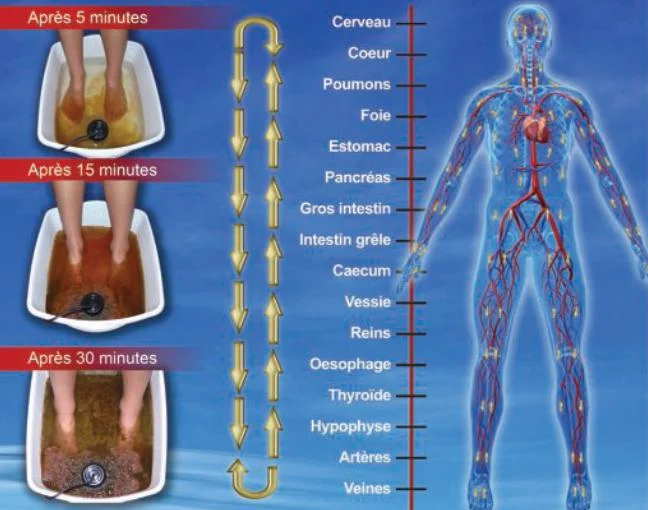 Évolution de l'eau du bain de pieds après 5, 15 et 30 minutes, et schéma des zones du corps traditionnellement associées